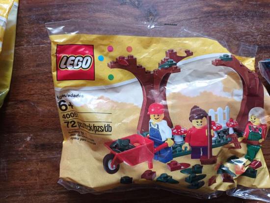 Lego Set 40057 Herbst Szene OVP